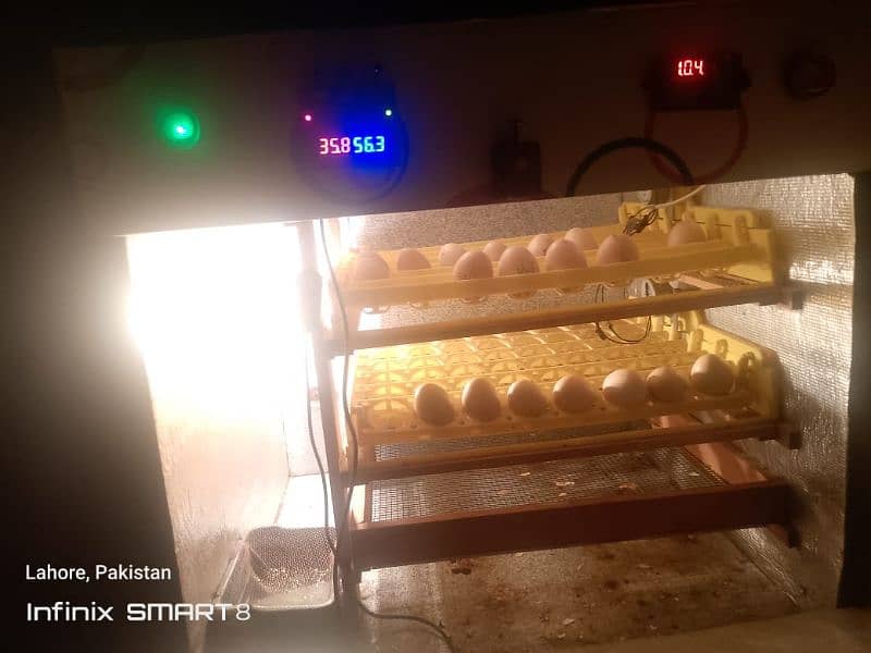 automatic hatching machine 2