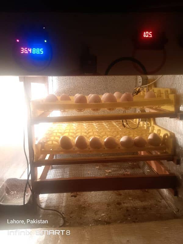 automatic hatching machine 3