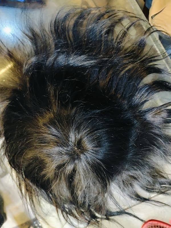 Hair Unit Frontlace Swiss Original 1