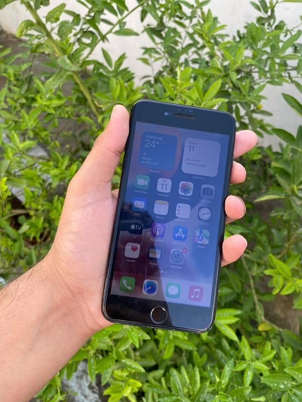 Iphone 7 plus pta 1