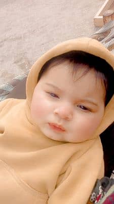 Shayan