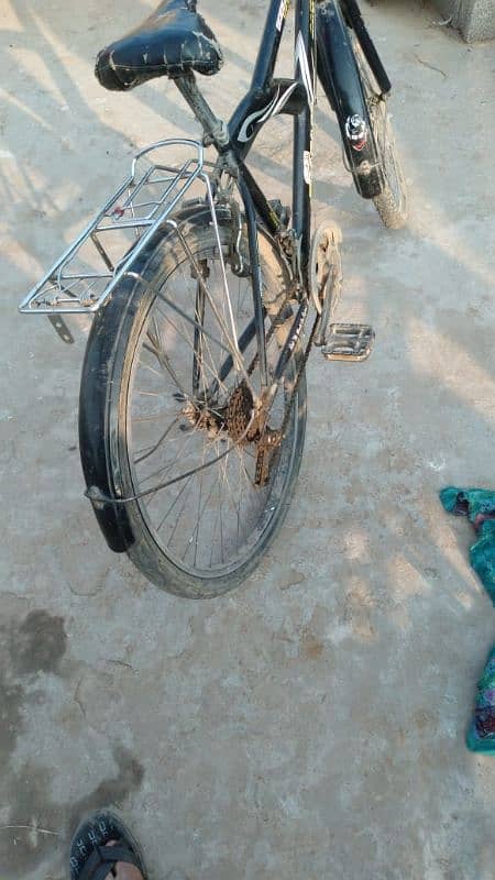 safari breeze bicycle 2