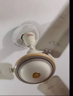 Ceiling fans