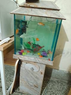 Fish Water Aquarium with 8 fishes Well maintained