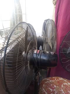 padestal Fan