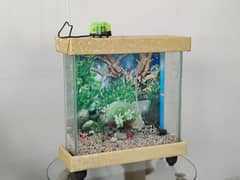 Fish Aquarium for Sale