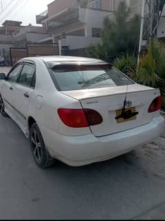 affordable car rental