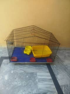 Bird