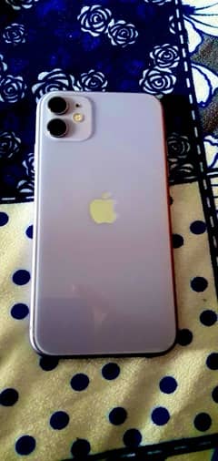 iphone11