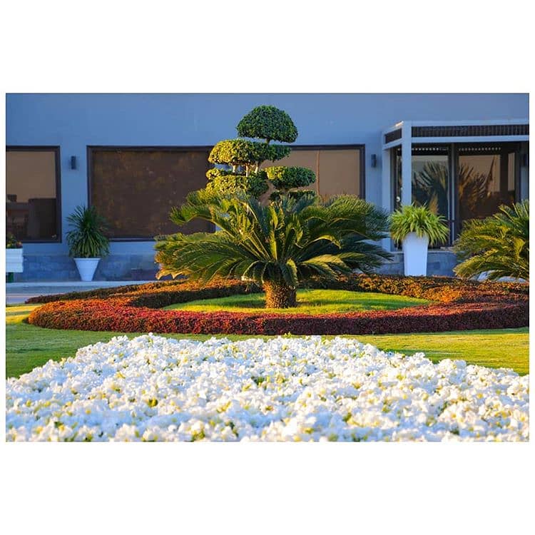 Possession Utility Paid 5 Marla Commercial Plot for Sale in G1 Block Bahria Orchard Phase 4 Lahore 9