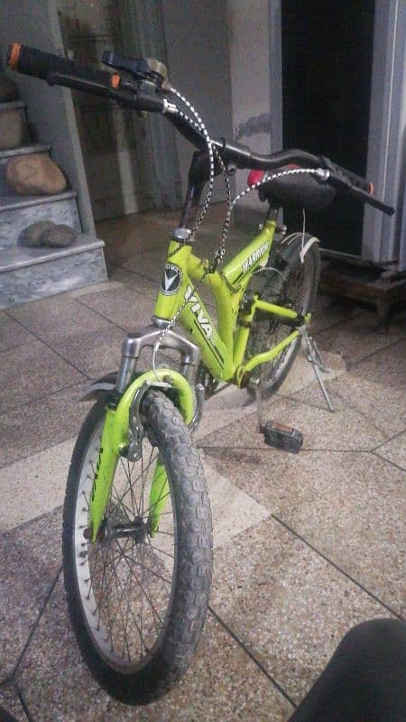 Imported Cycle with head CAP 3