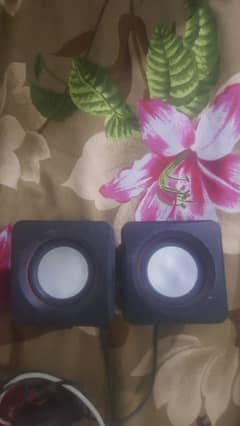 this speakers is used