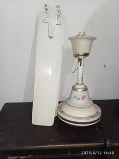 Al-Sheikh ceiling Fan