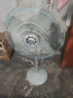new