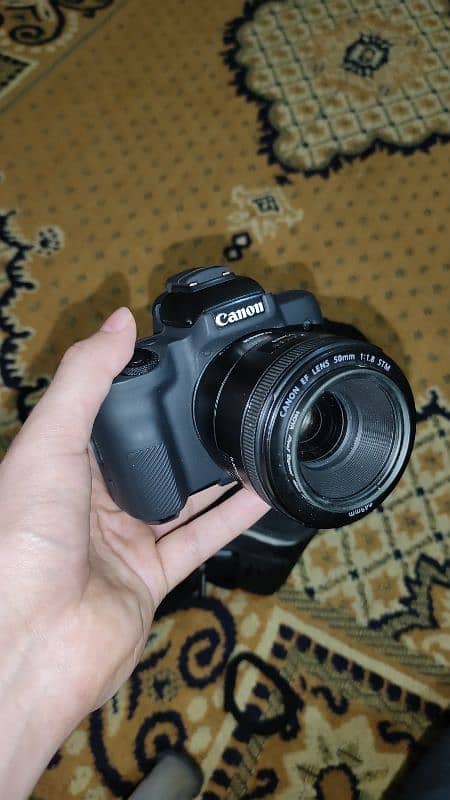 Canon M50 with 50mm stm lens 0