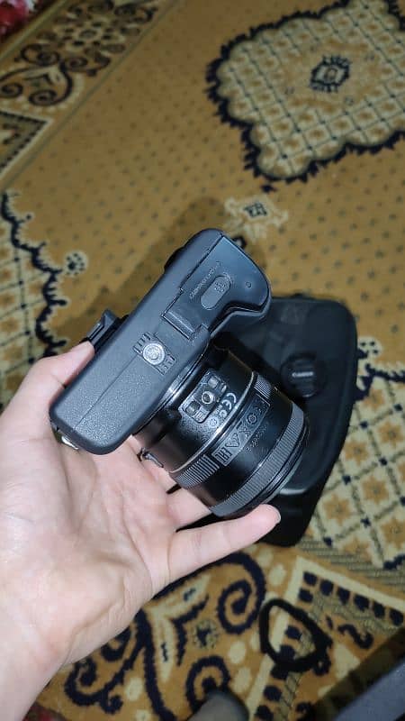 Canon M50 with 50mm stm lens 2