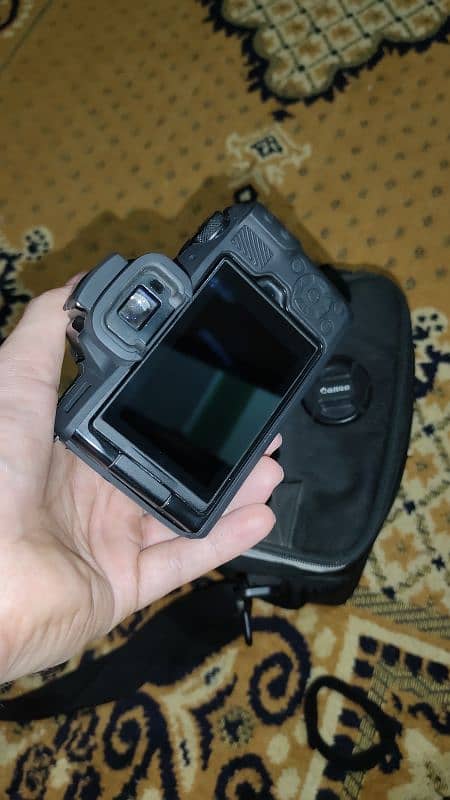 Canon M50 with 50mm stm lens 6