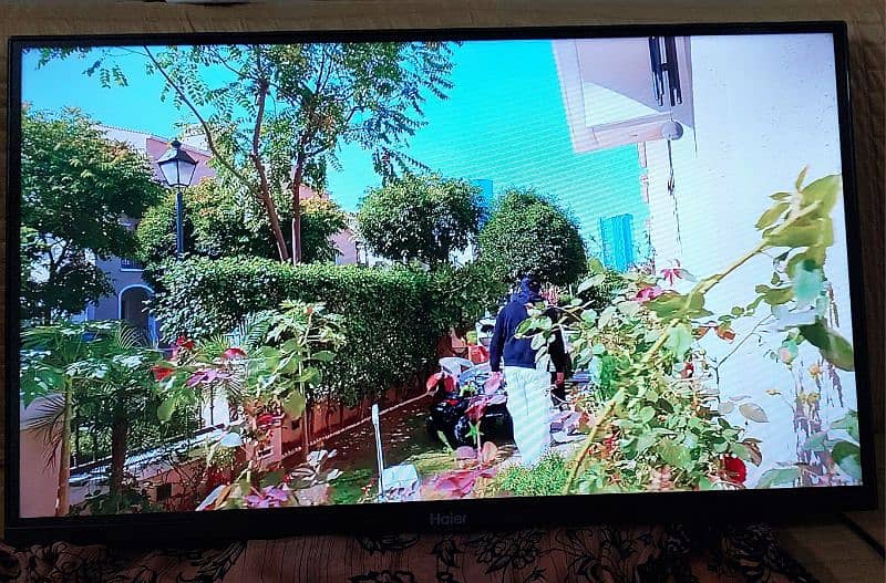 Haier K66 Series Android tv 32 inch 1