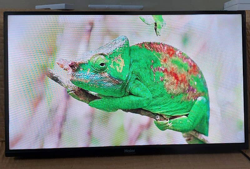 Haier K66 Series Android tv 32 inch 2