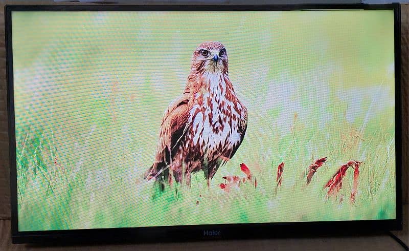 Haier K66 Series Android tv 32 inch 3
