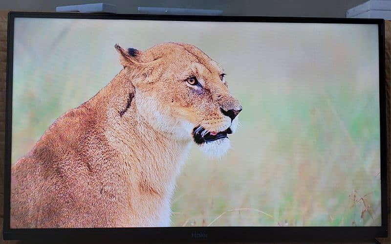 Haier K66 Series Android tv 32 inch 5
