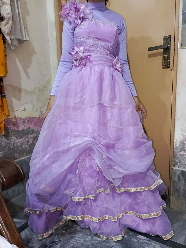 maxi female 1