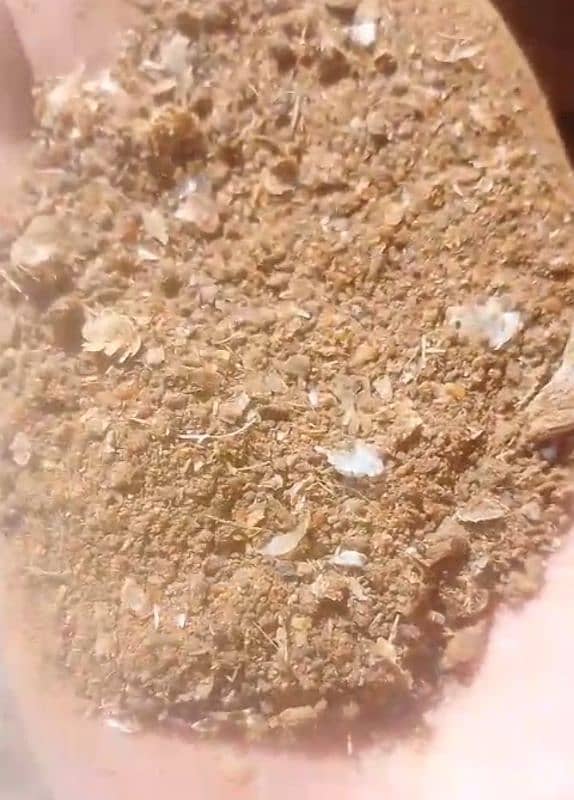 organic fertilizer for plants 0