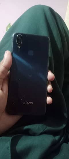 Vivo