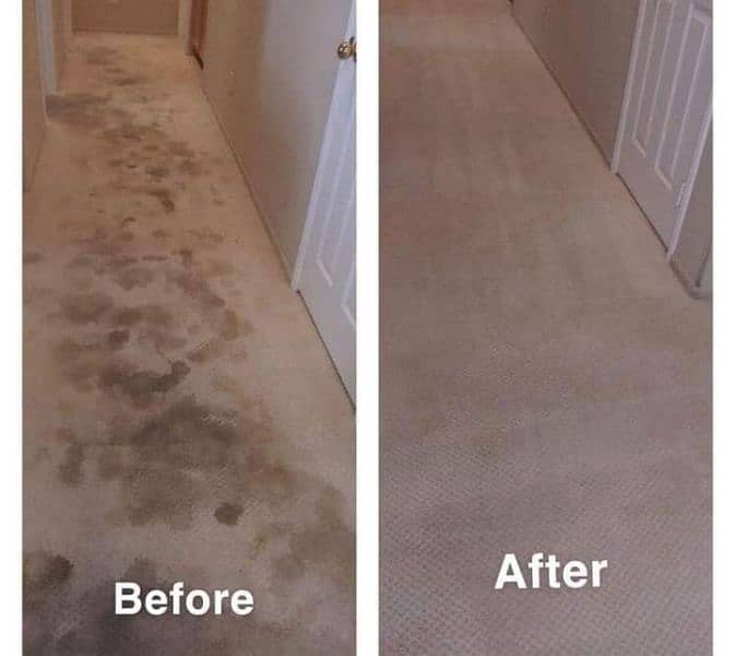Sofa Carpet Rugs Chair Cleaning/Water Tank Cleaning, Termite Proofing 5