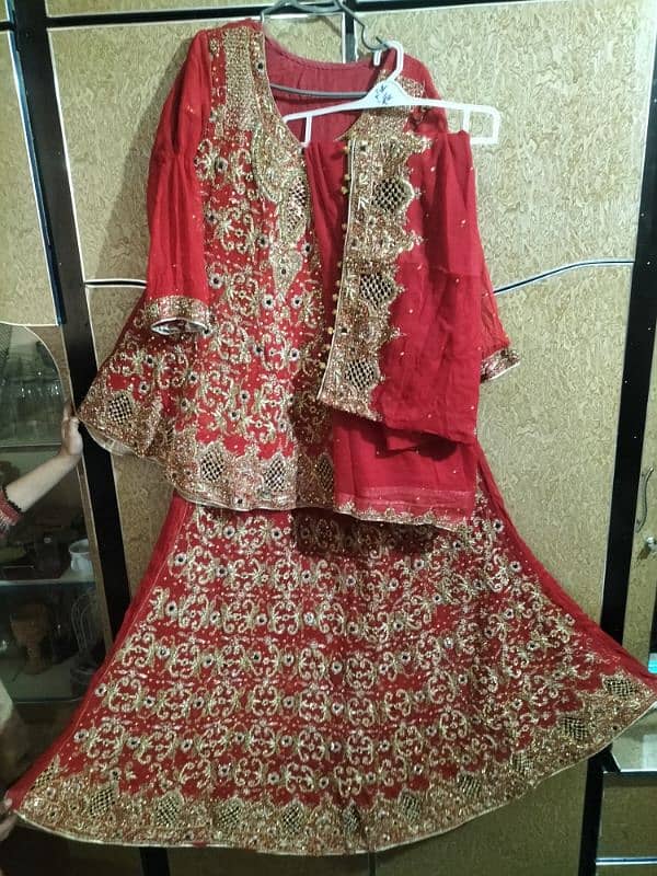 Customize  bridal Lenhga 3