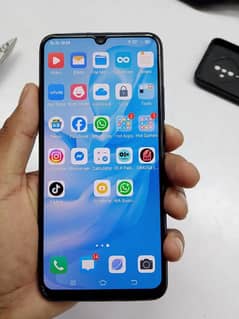 vivo