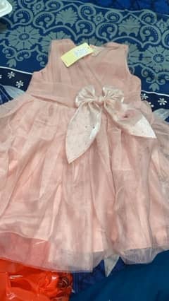 fairy
