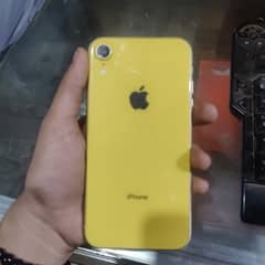 Xr non pta