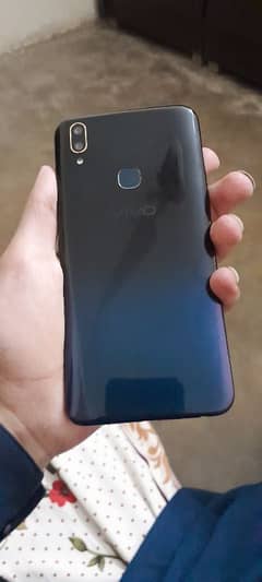 Vivo