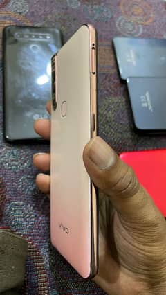 vivo