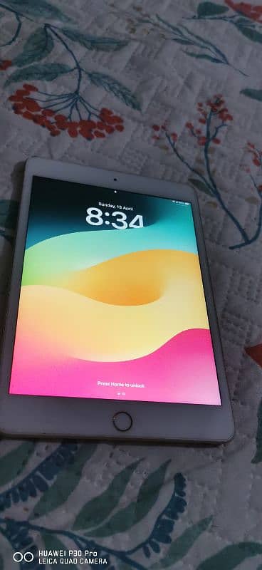ipad mini 5 0