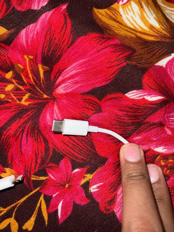 Iphone 20 Watt support 2 pin Charger with C lightning Cable 5