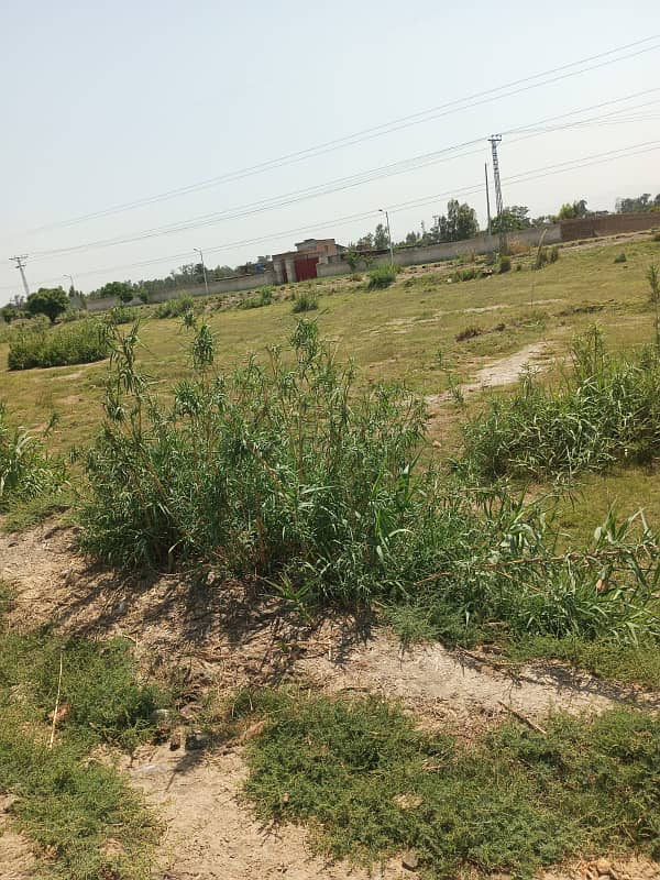 Plot Available For Sale In Royal Homes Azakhel Nowshera 1