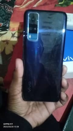 VIVO