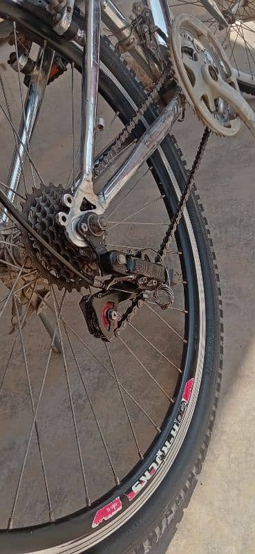 Mountain bicycle 1