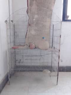 birds big cage