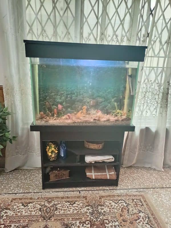 fish aquarium for sale 0