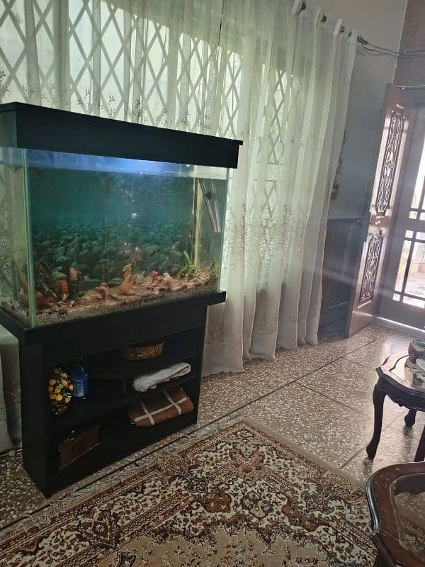 fish aquarium for sale 3