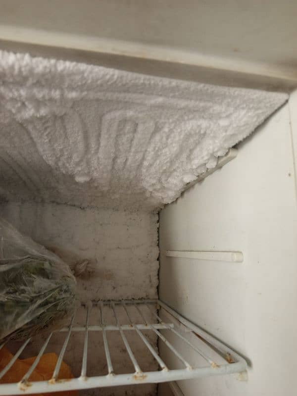 Dawlance Fridge 6