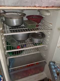 Haier