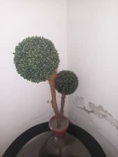 2 pieces