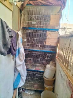 4 cage pinjra