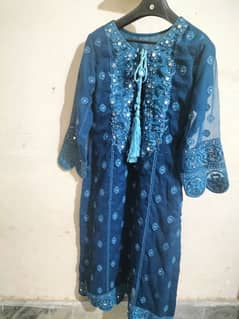 Ladies Chiffon Party Wear