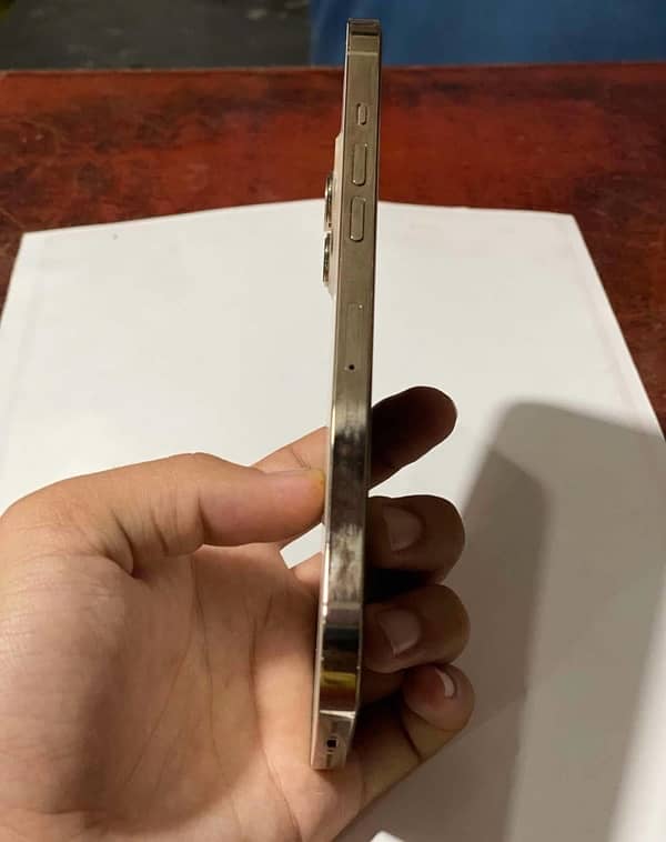 IPhone 12 Pro Max LLA Model 2
