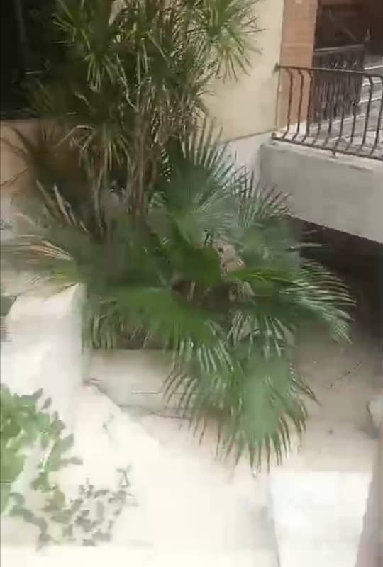 This Is Your Chance To Buy Building In Wahdat Road 19